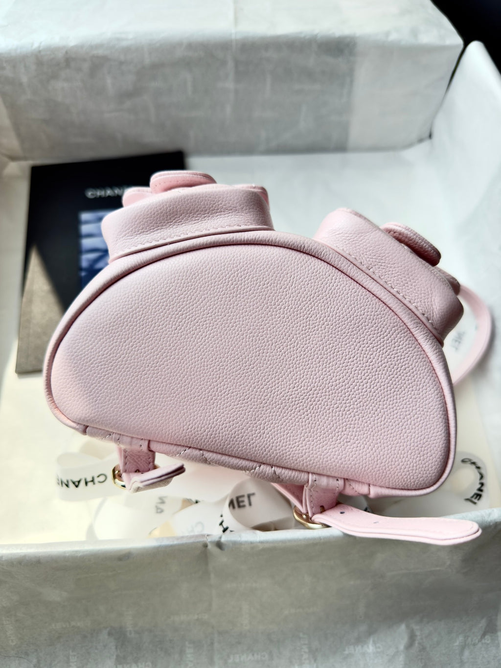 Cc 24B double backpack