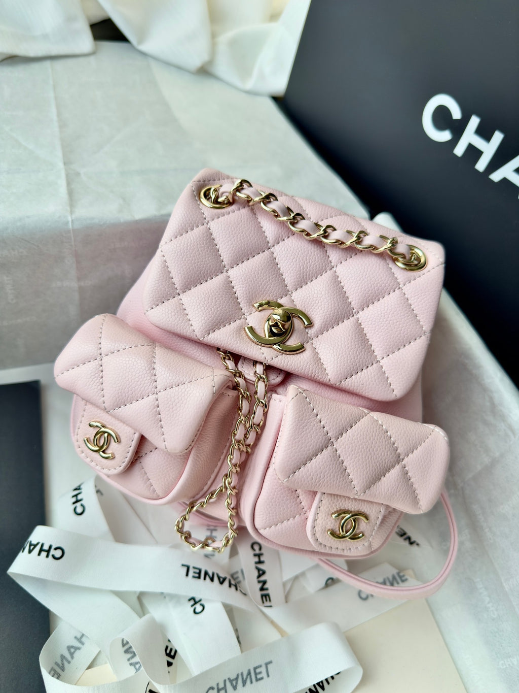 Cc 24B double backpack