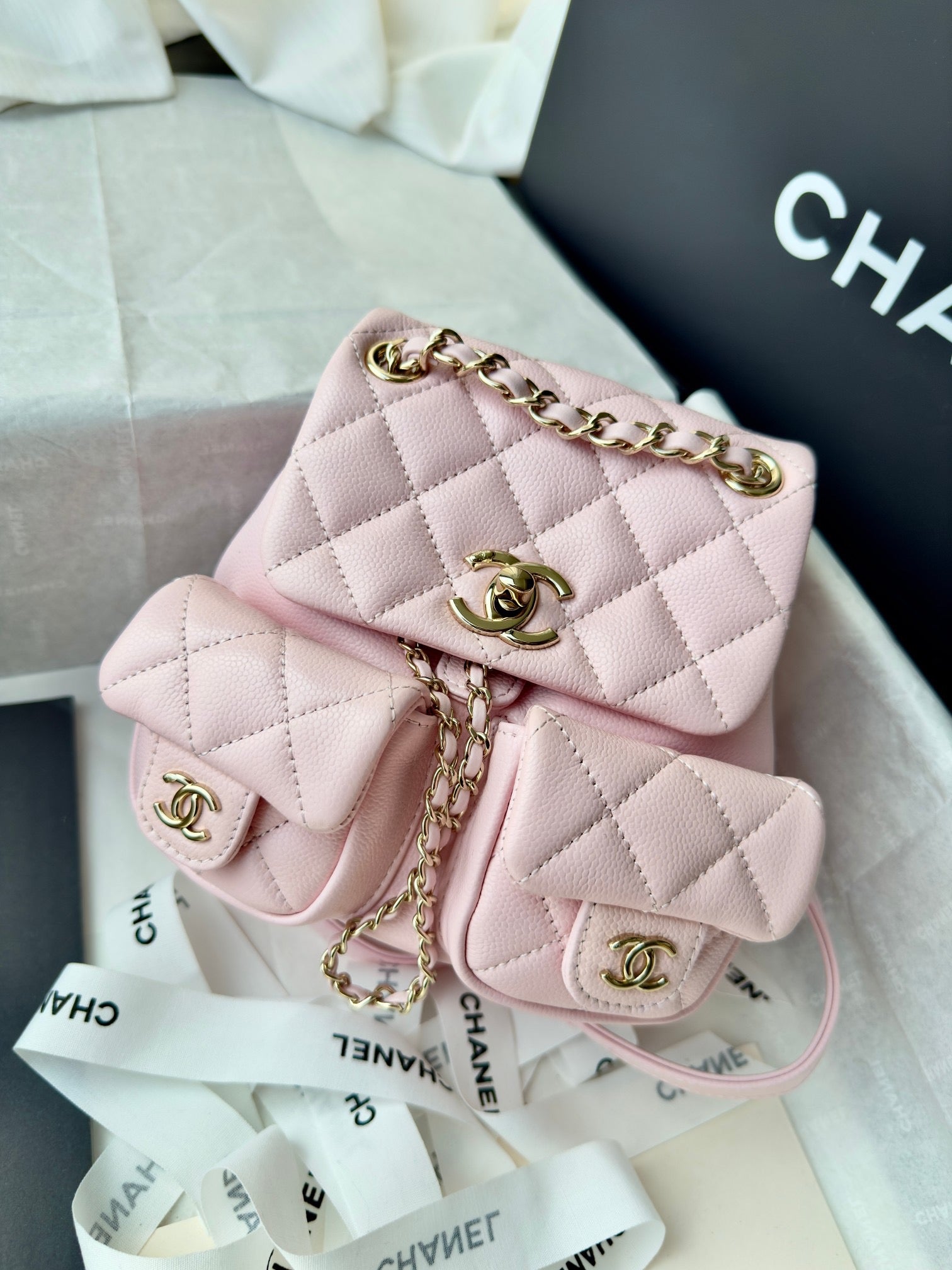 Cc 24B double backpack