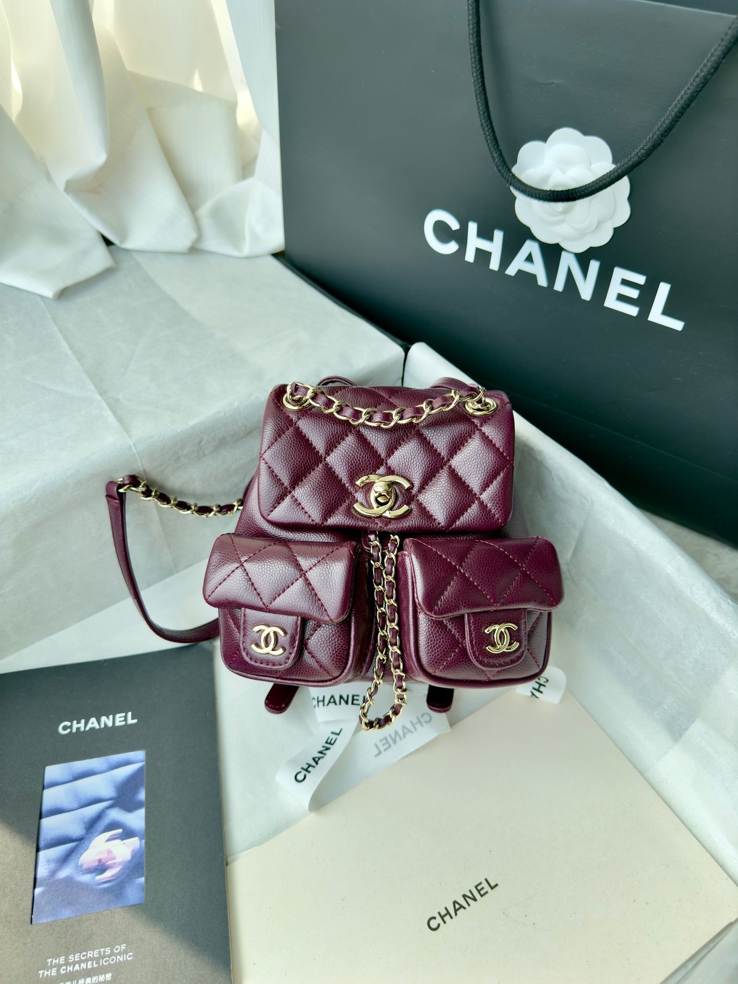 Cc 24B double backpack