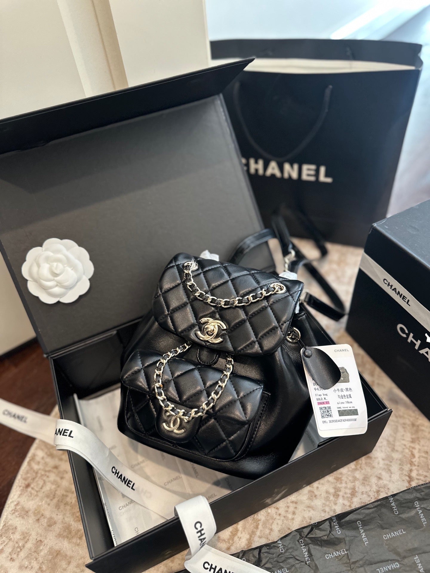 Chanel 25 Duma backpack
