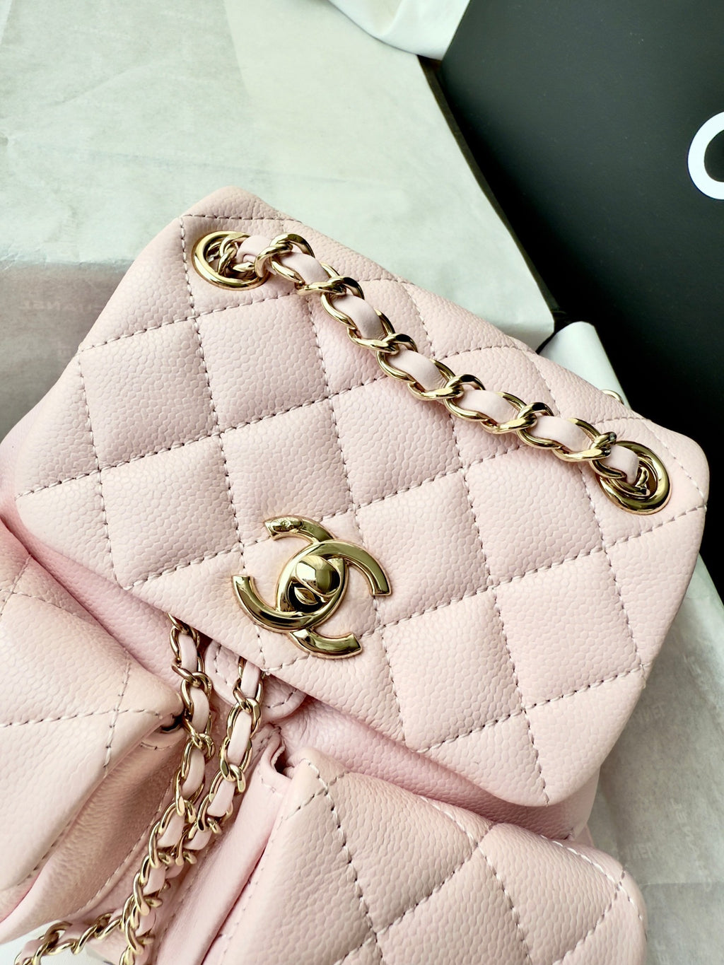 Cc 24B double backpack