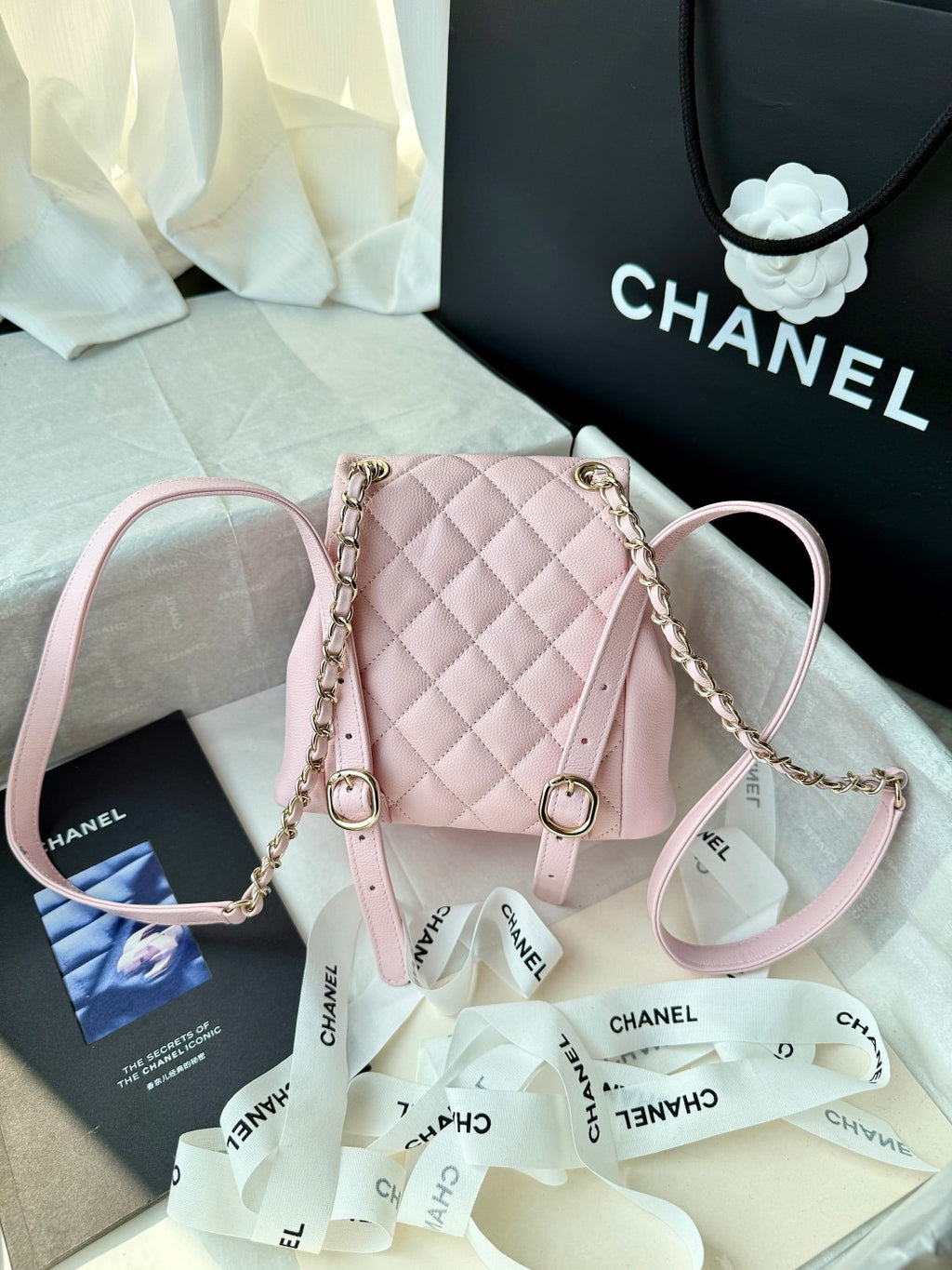 Cc 24B double backpack